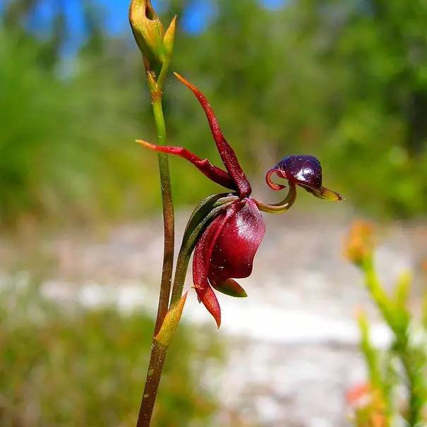 爱拼才会赢((̵̵́ ̆͒͟˚̩̭ ̆͒