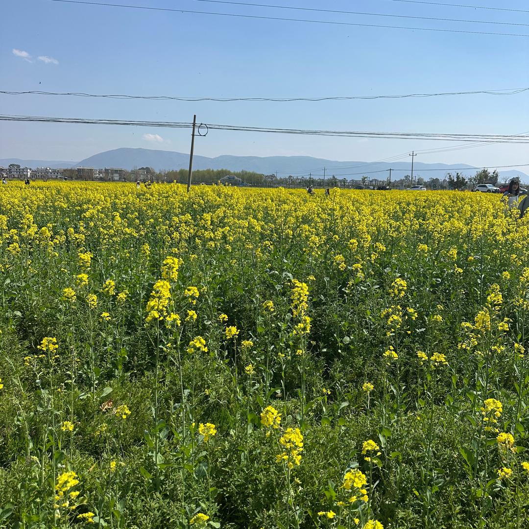 ໑ຼₒ₂₃ღ᭄一叶知秋🕊꧔ꦿ᭄💞