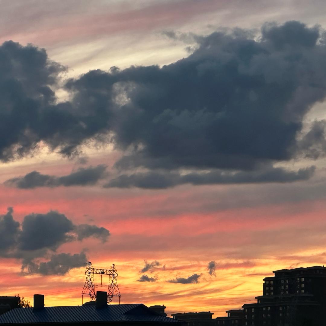 是我是我就是我