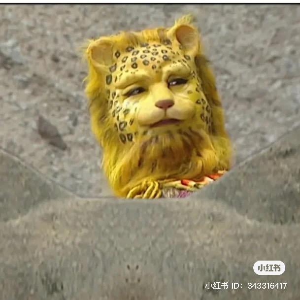 钱从四面八方来☀