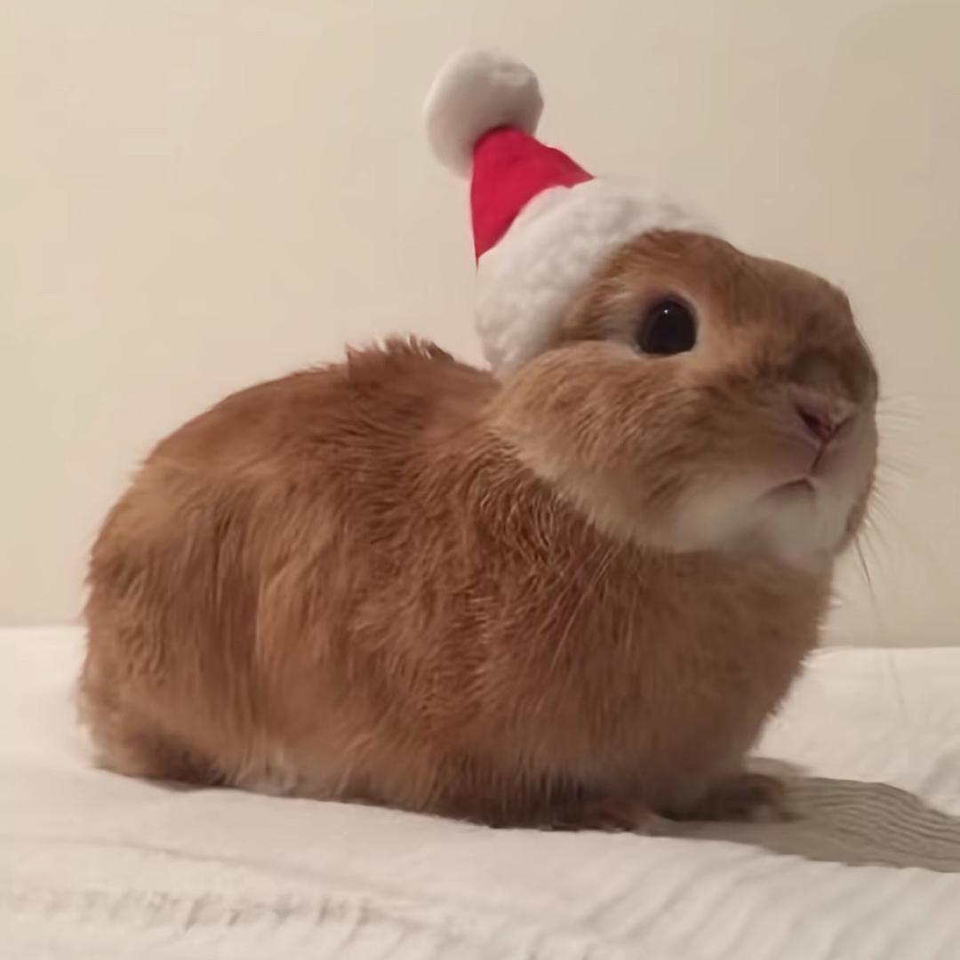 ·想吃鲷鱼烧^-^