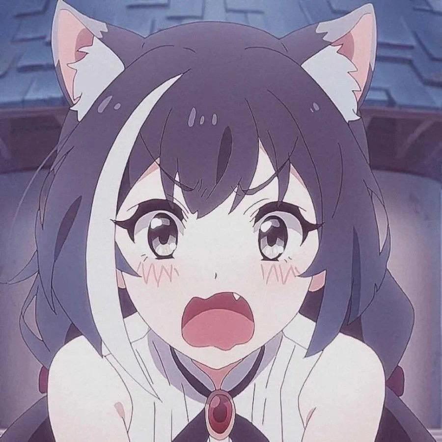 王哈哈啊 💕