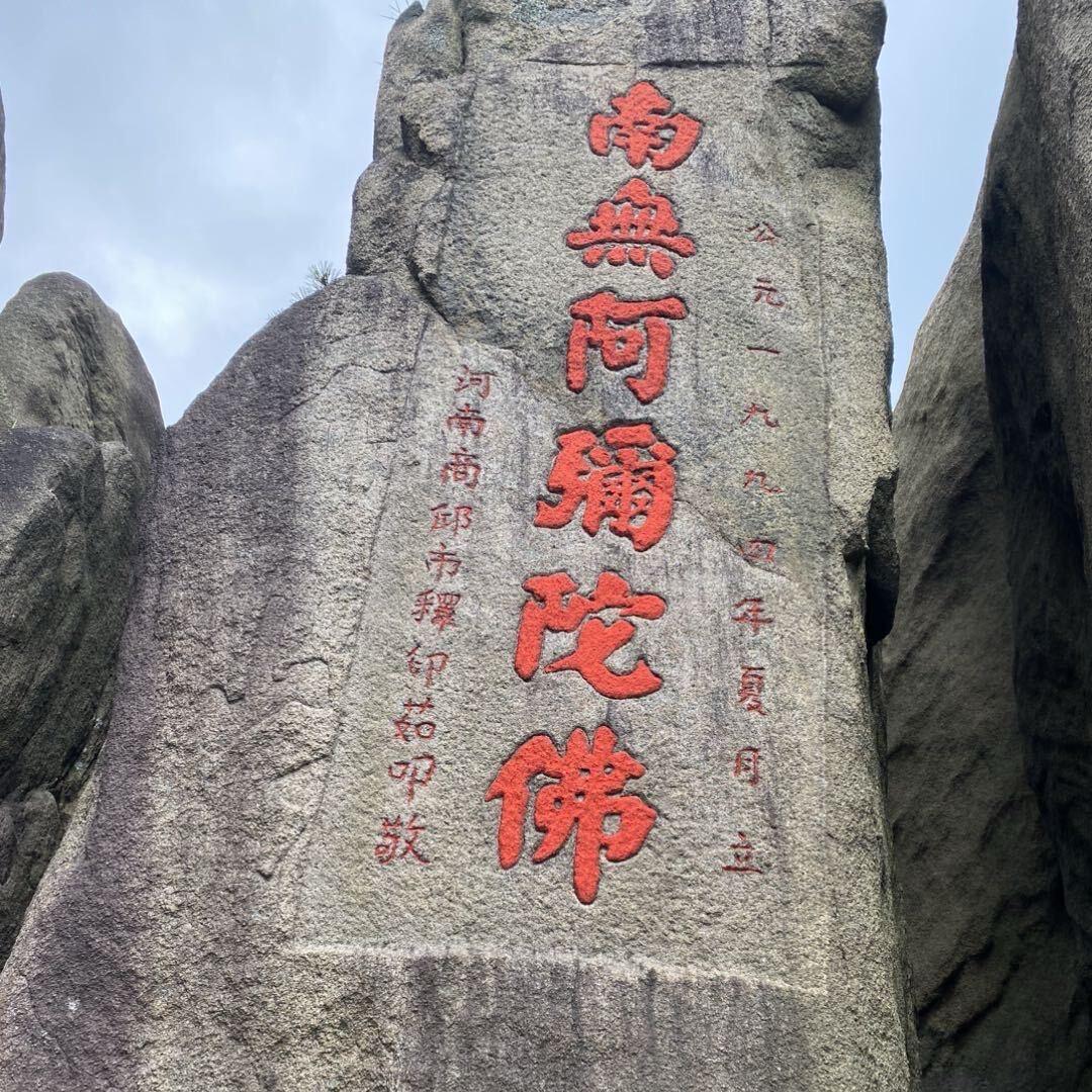 小鱼小🐟