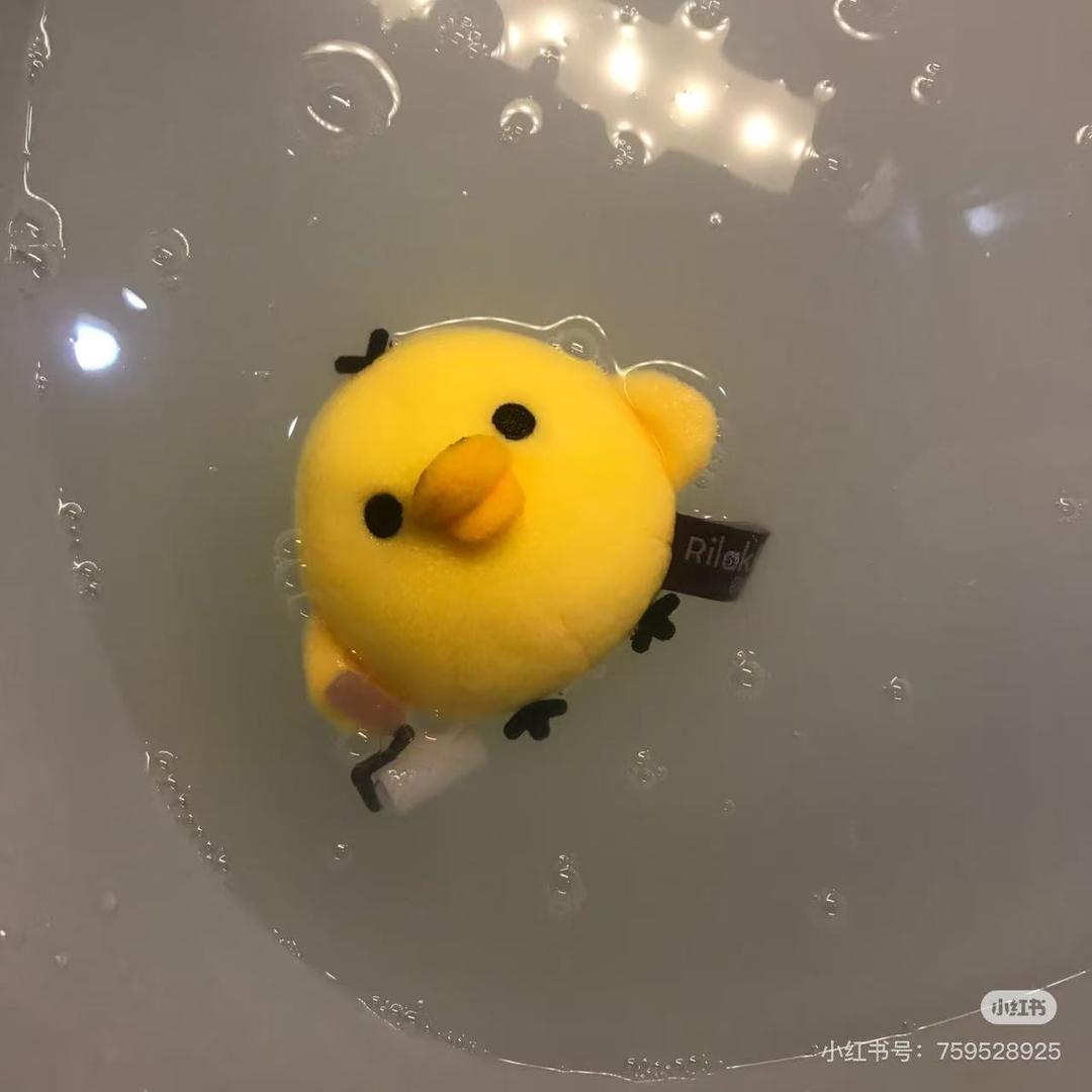 卓嘎Joga