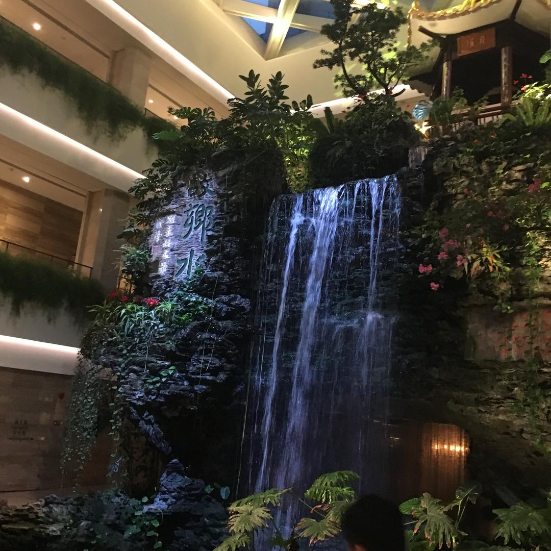 金金金鑫