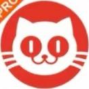 电影票全国可用