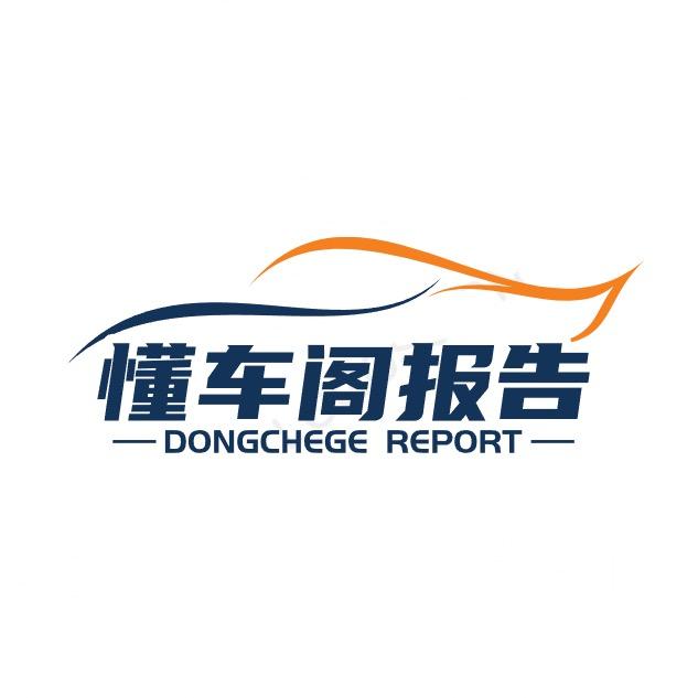 懂车阁报告