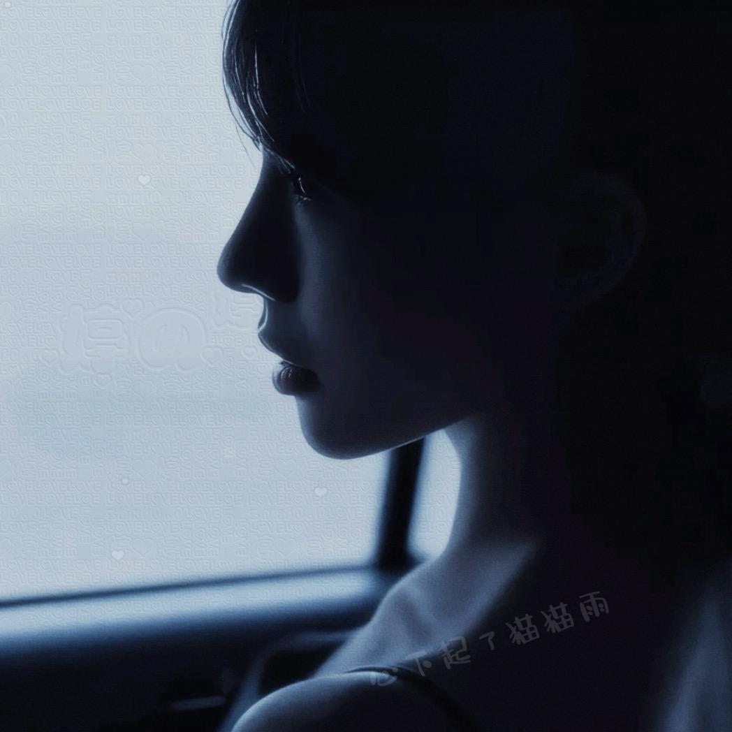 心下起了猫猫雨