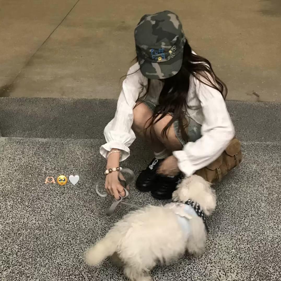 毛豆🙈