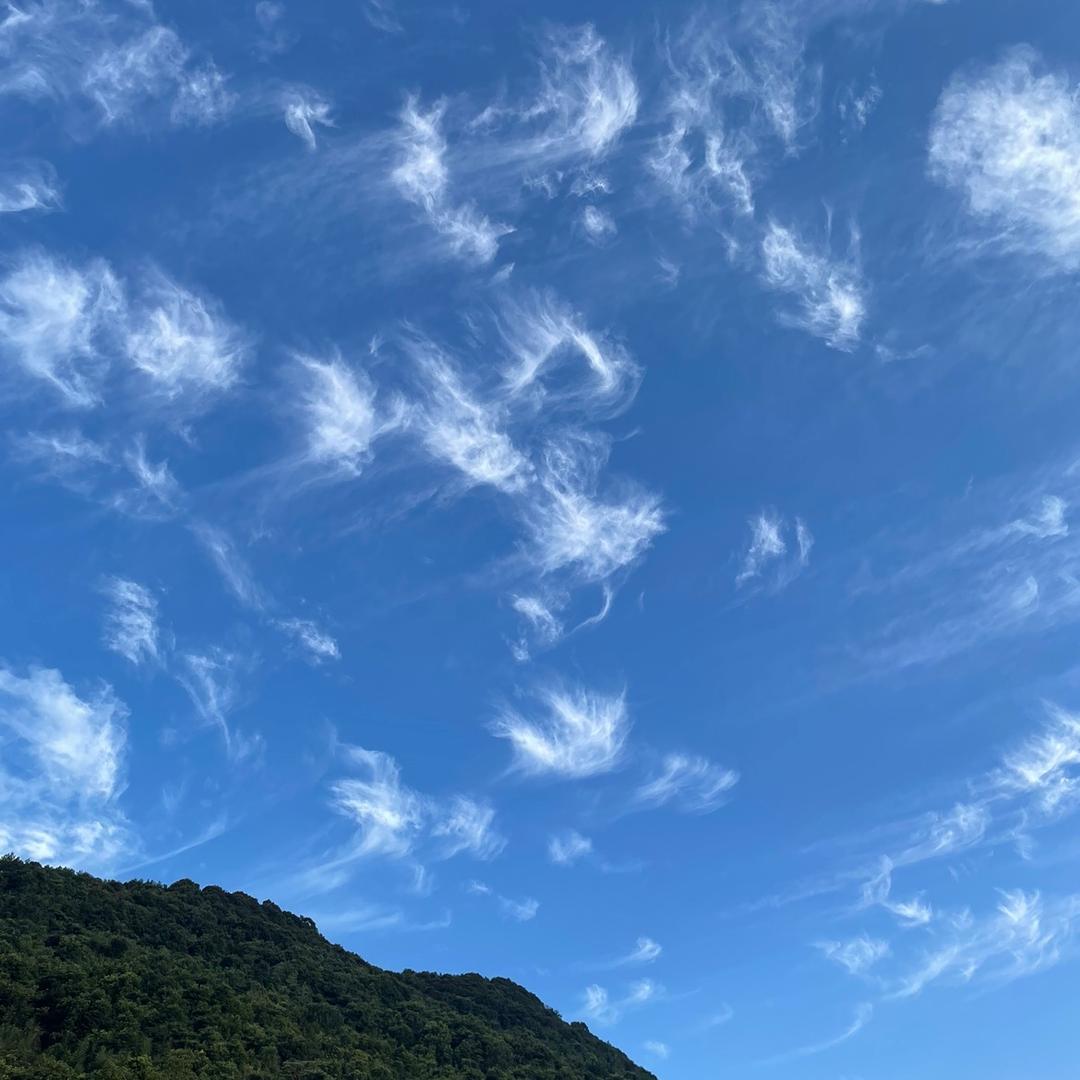 餐霞