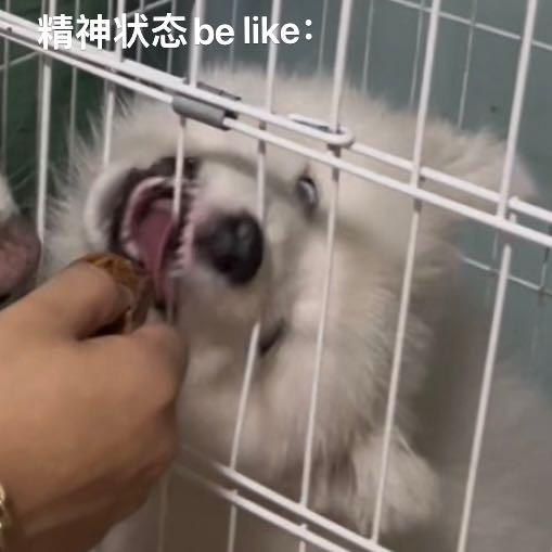 我叫王乐天