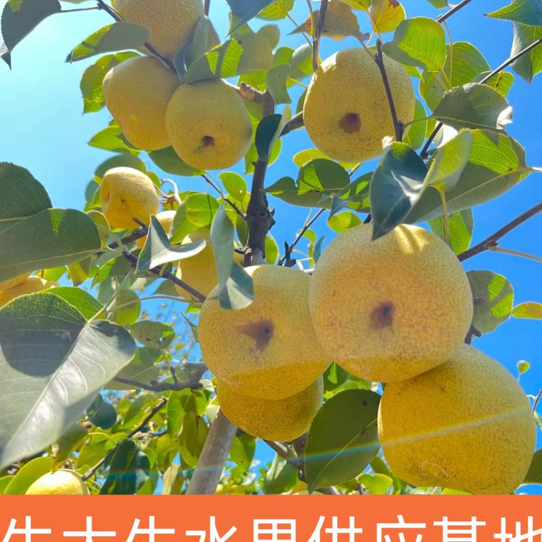 牛大牛农副产品优品小铺