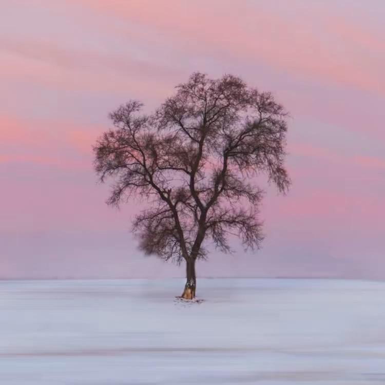 心想事成12345678