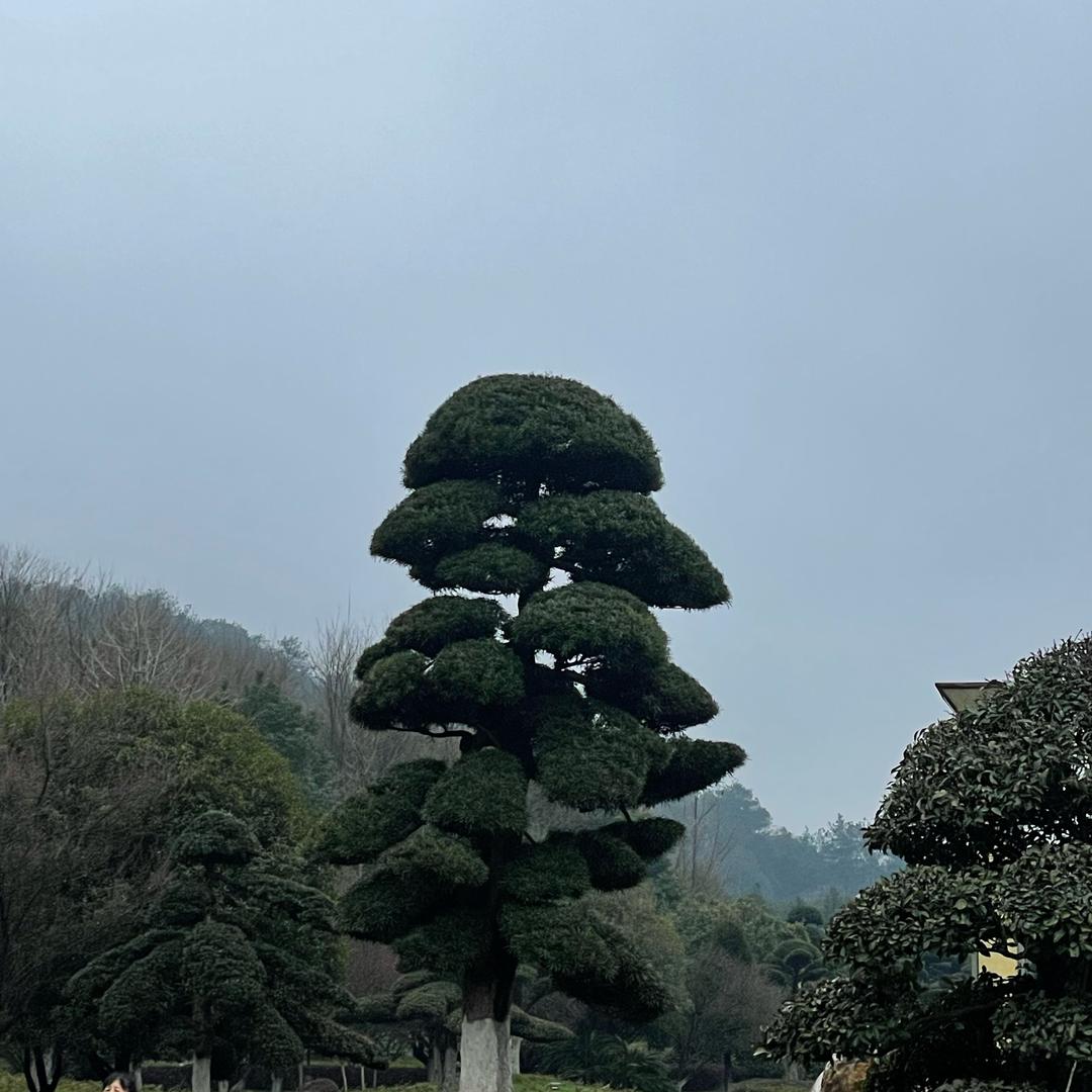 俗人