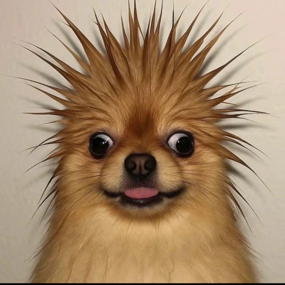 LLL