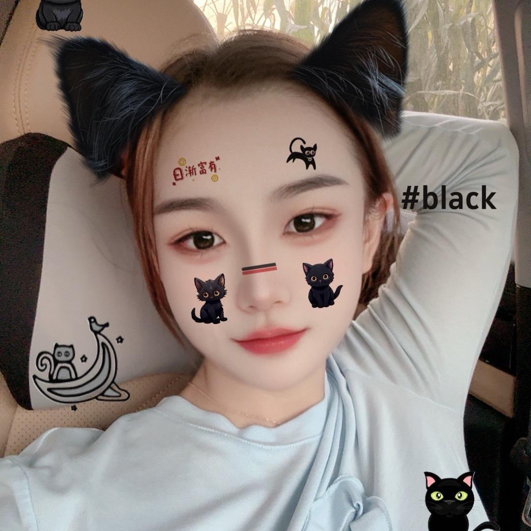 小彤宠物猫批发