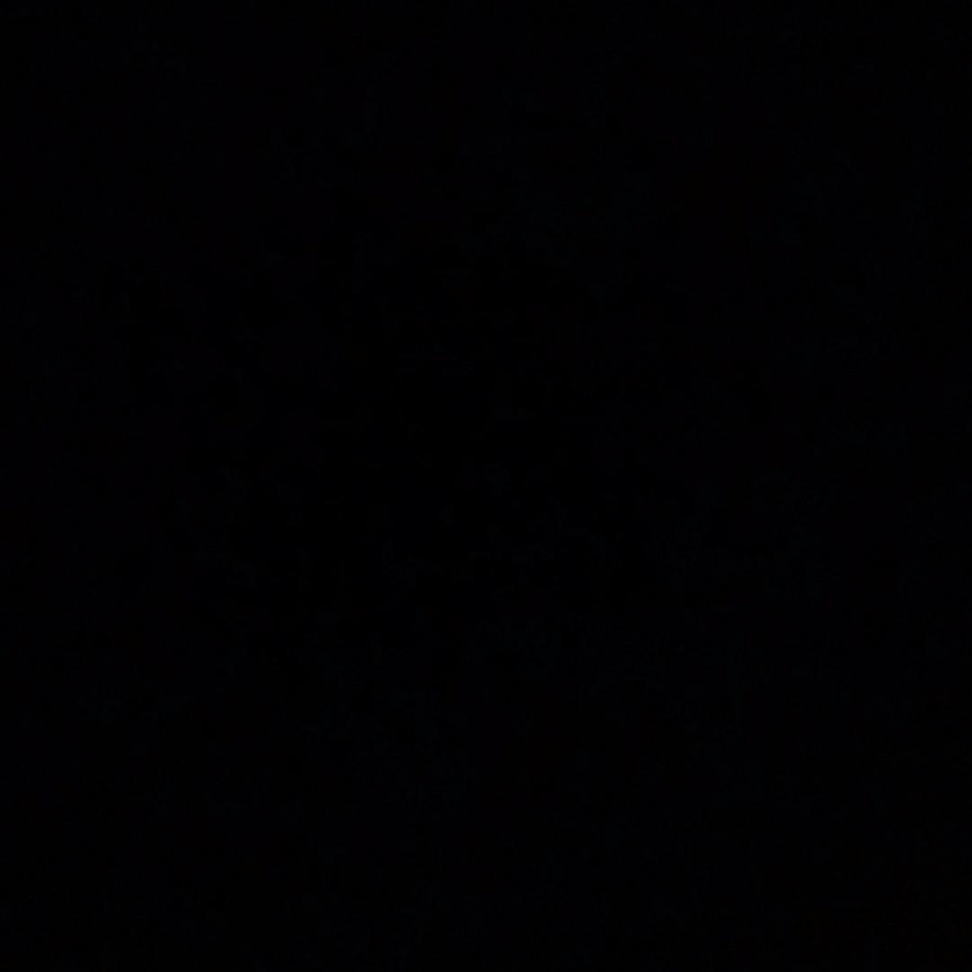 毛豆