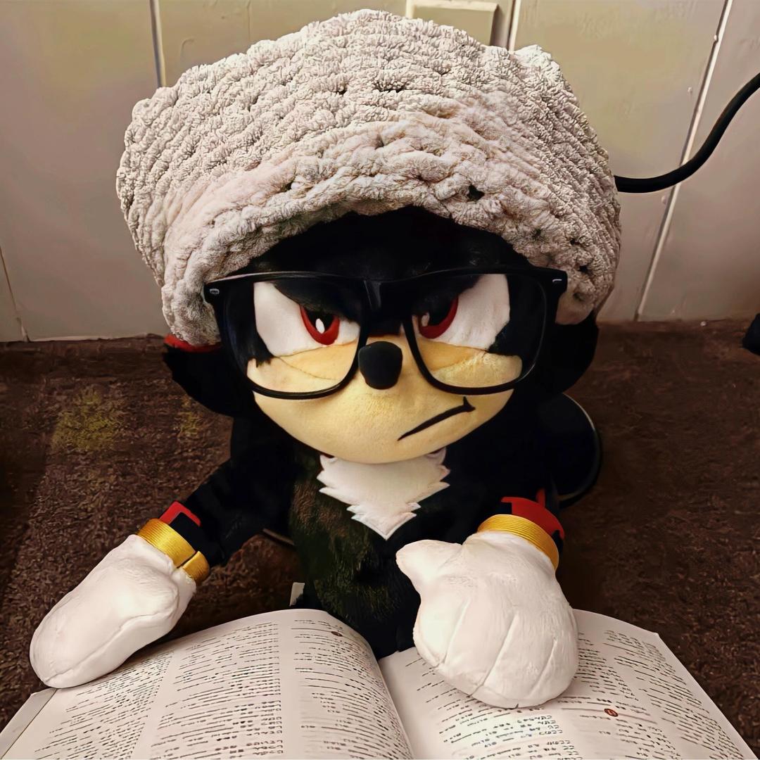 毛毛的心事