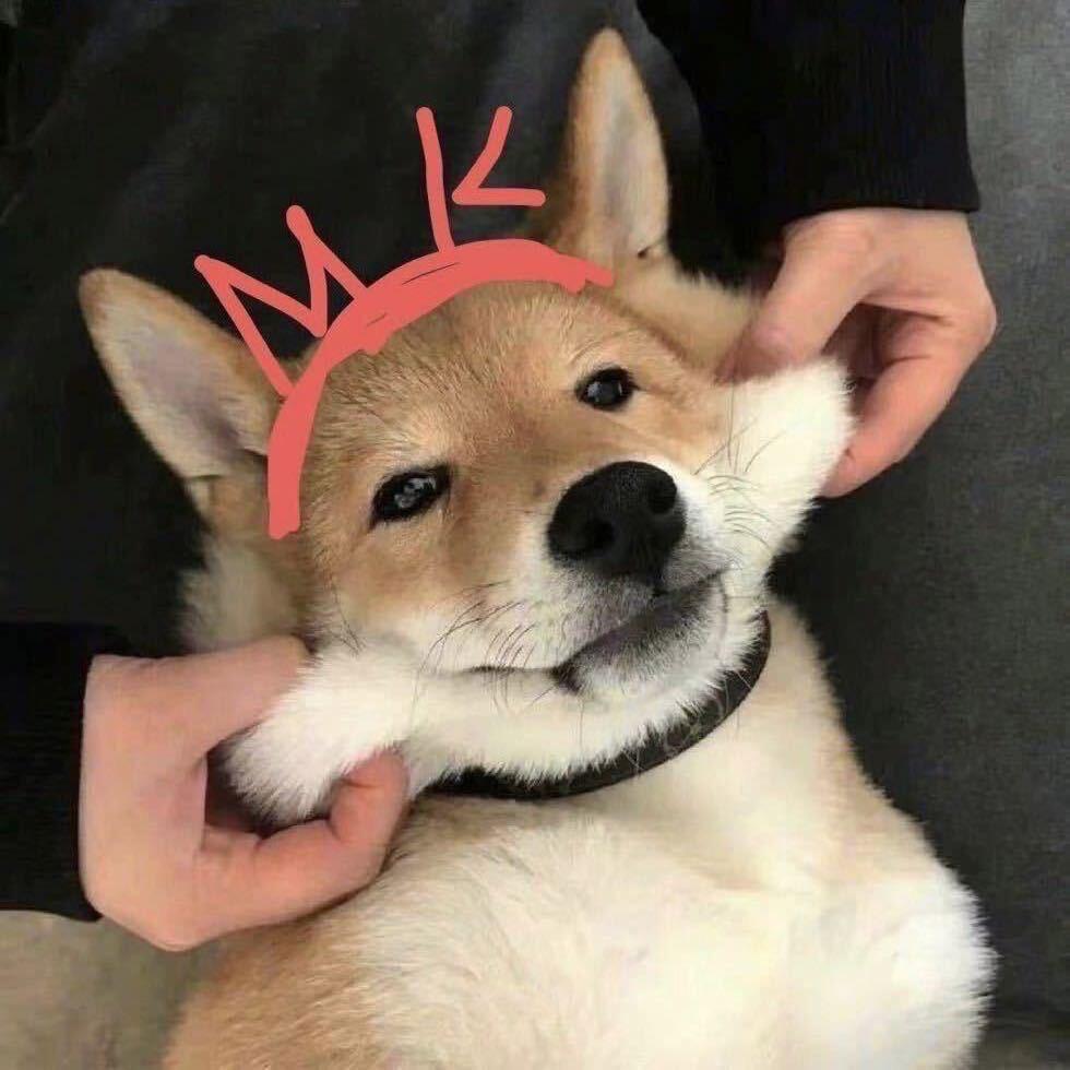 孔骁