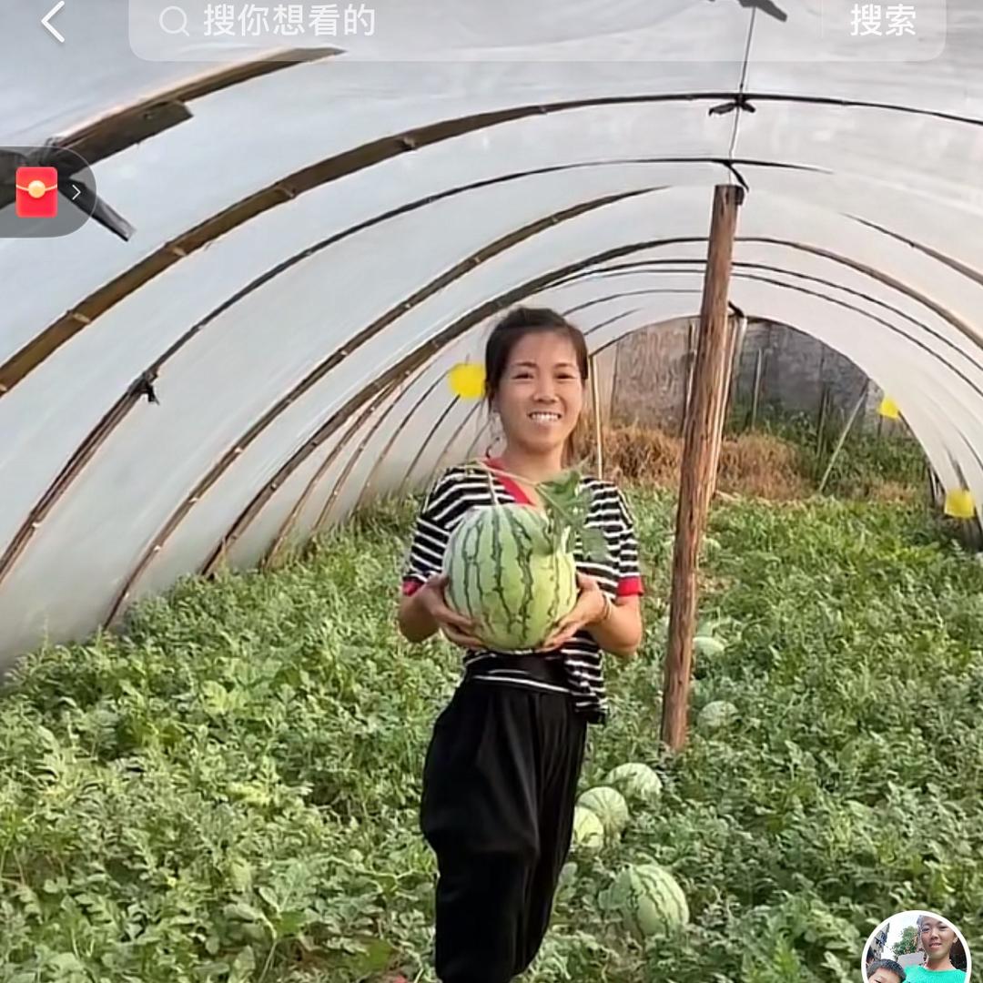 青青河边草原