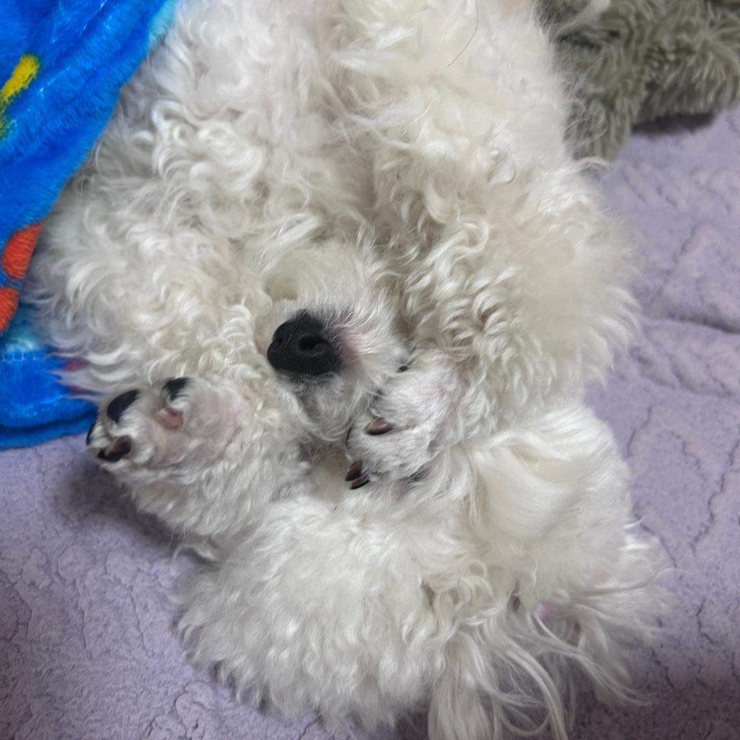 一天三杯冰美式☕️