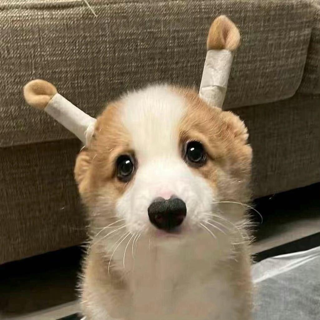 @欣欣