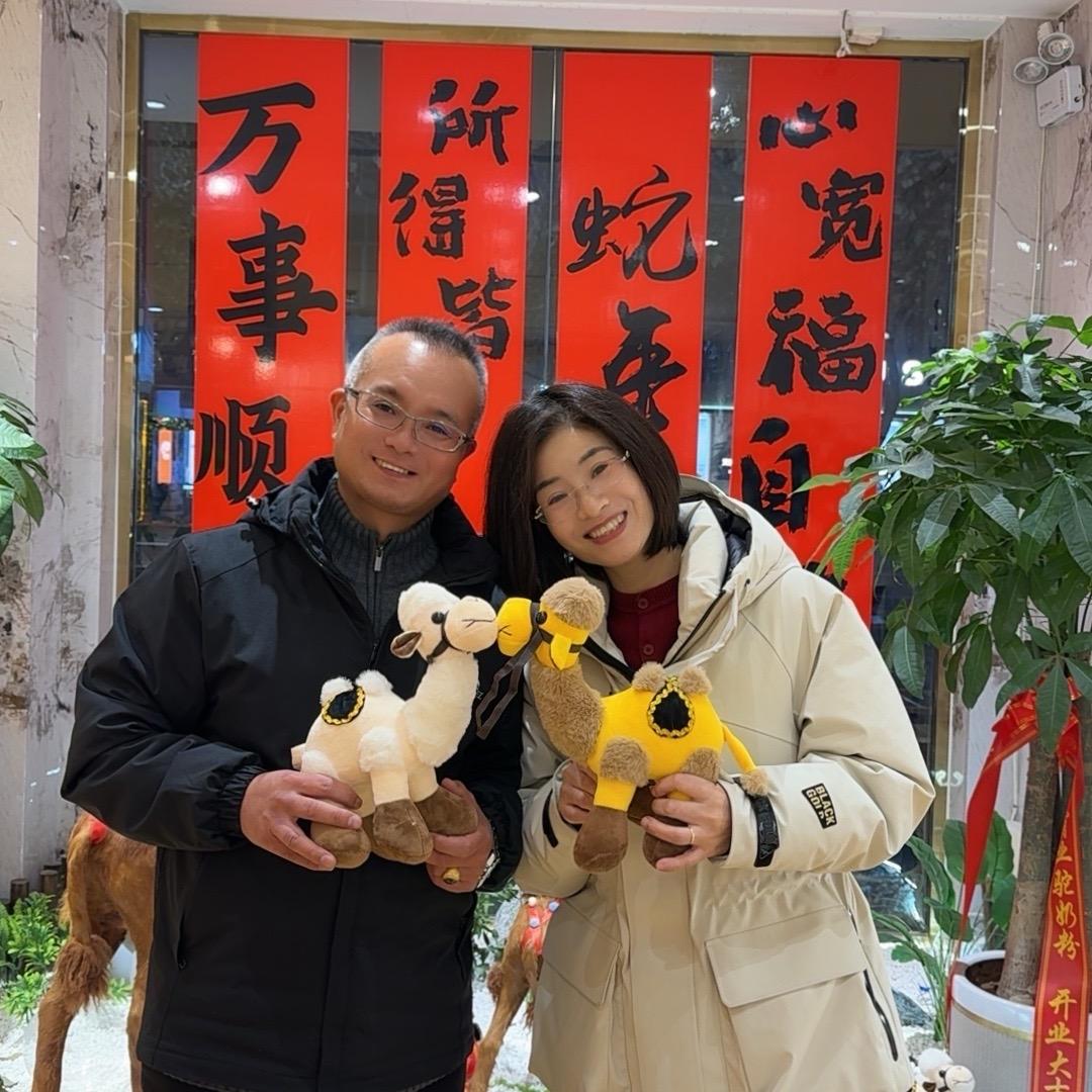 霸业领跑盛视