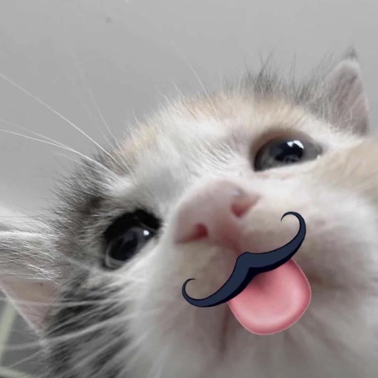 —/