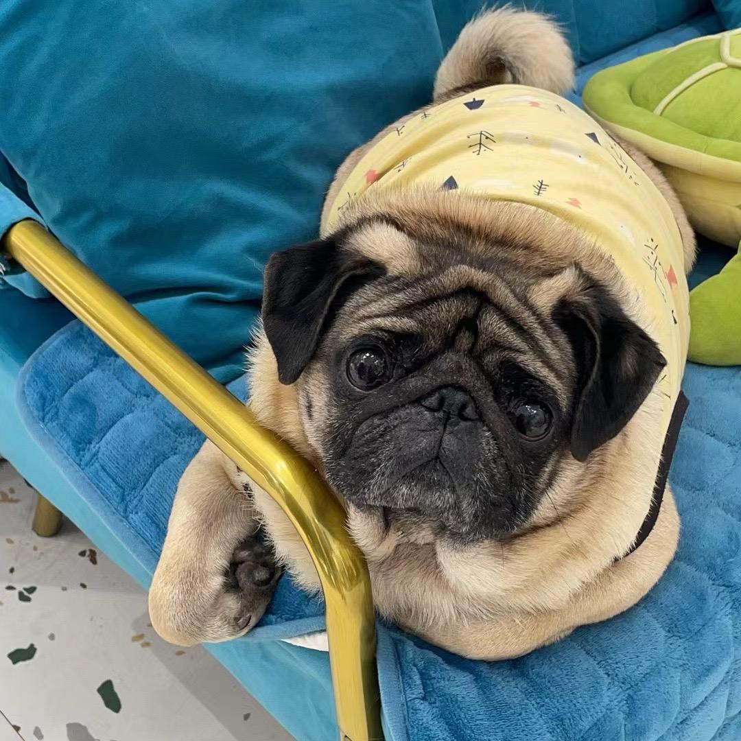 信 念