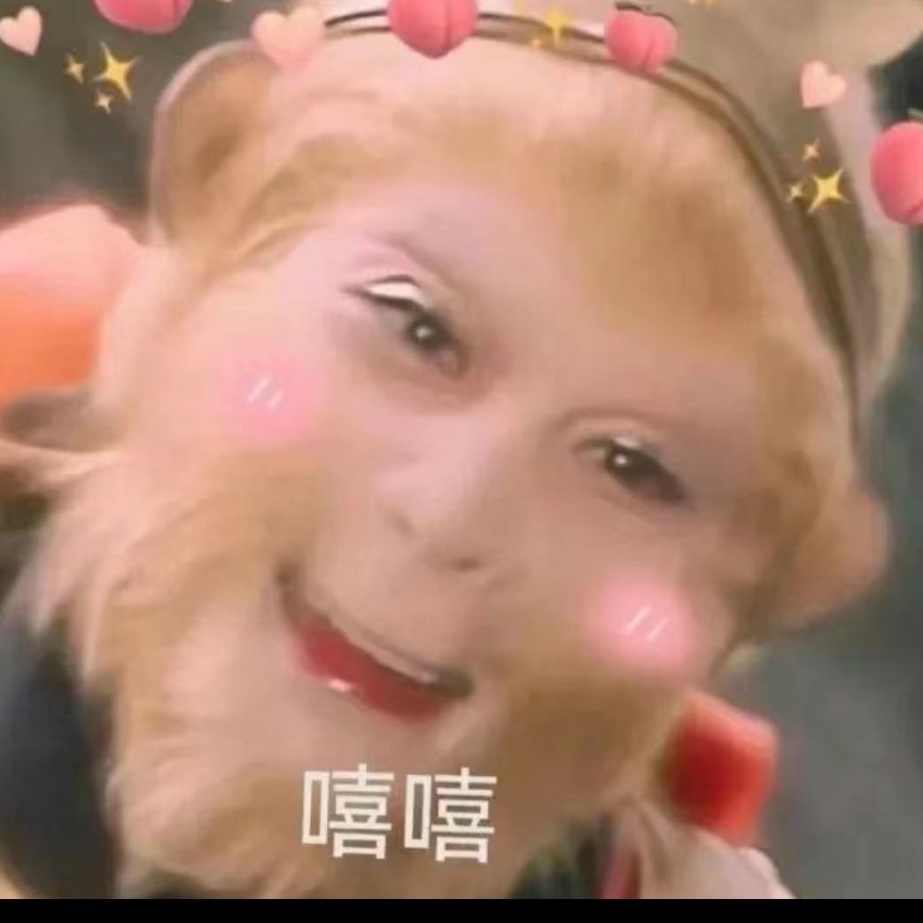 小鲨在这呐