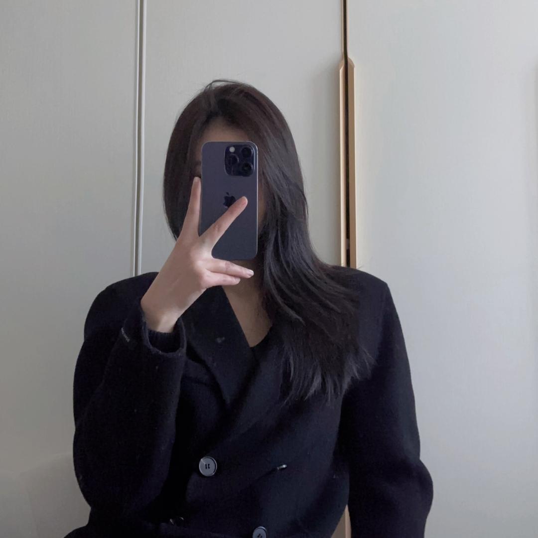 进梅