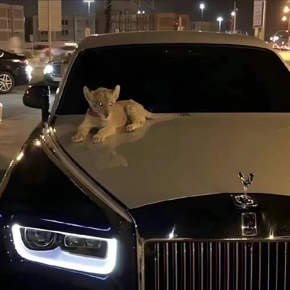 奋斗的小青年！！！