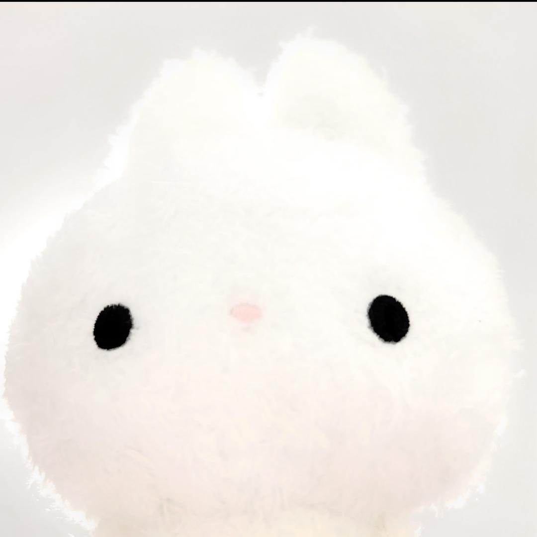 君子之交淡如水