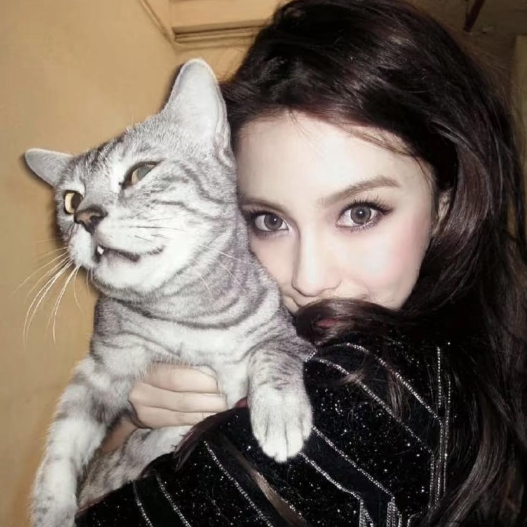 美多U