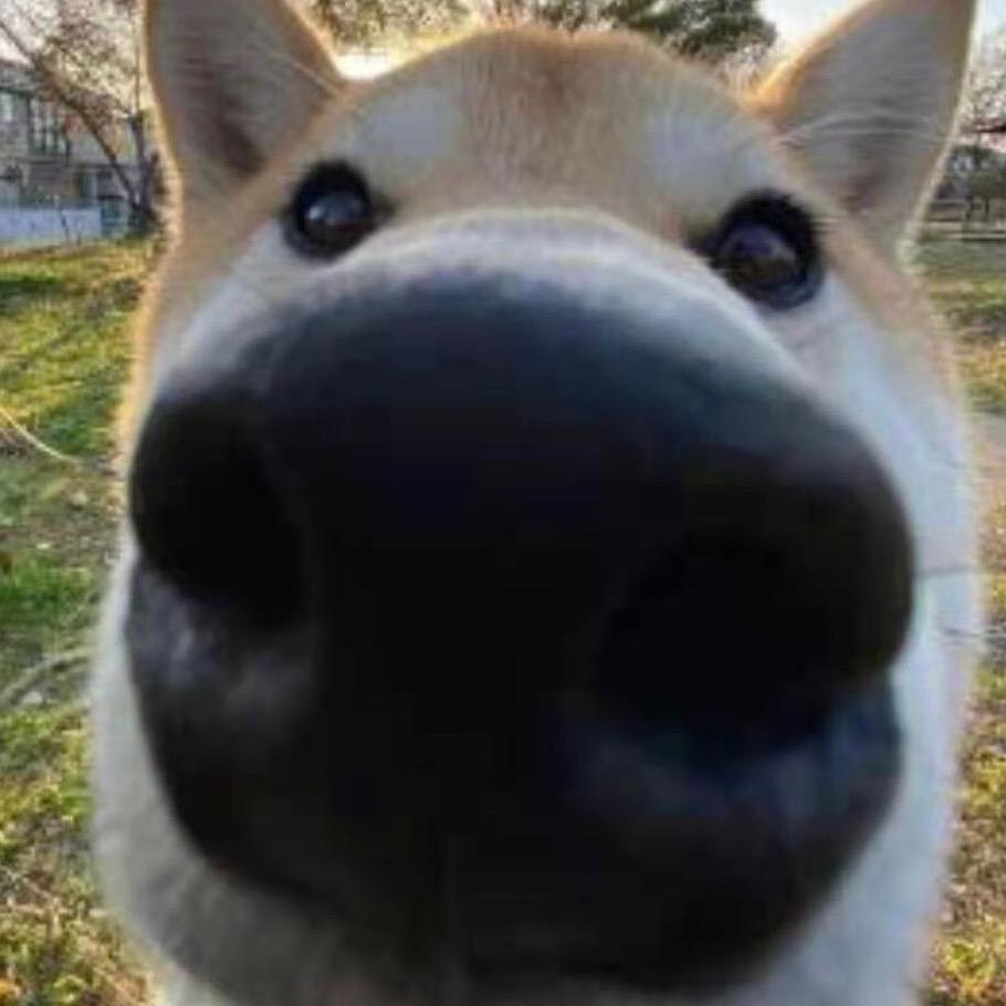 超威刘哥