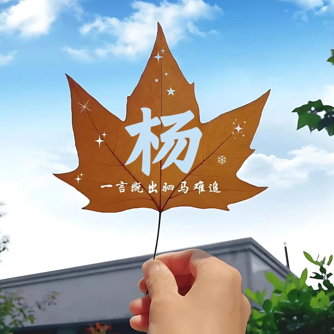 小杨同学