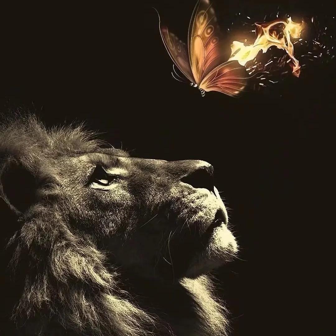 童⃤彤大魔王 ꦿ໊ོﻬ