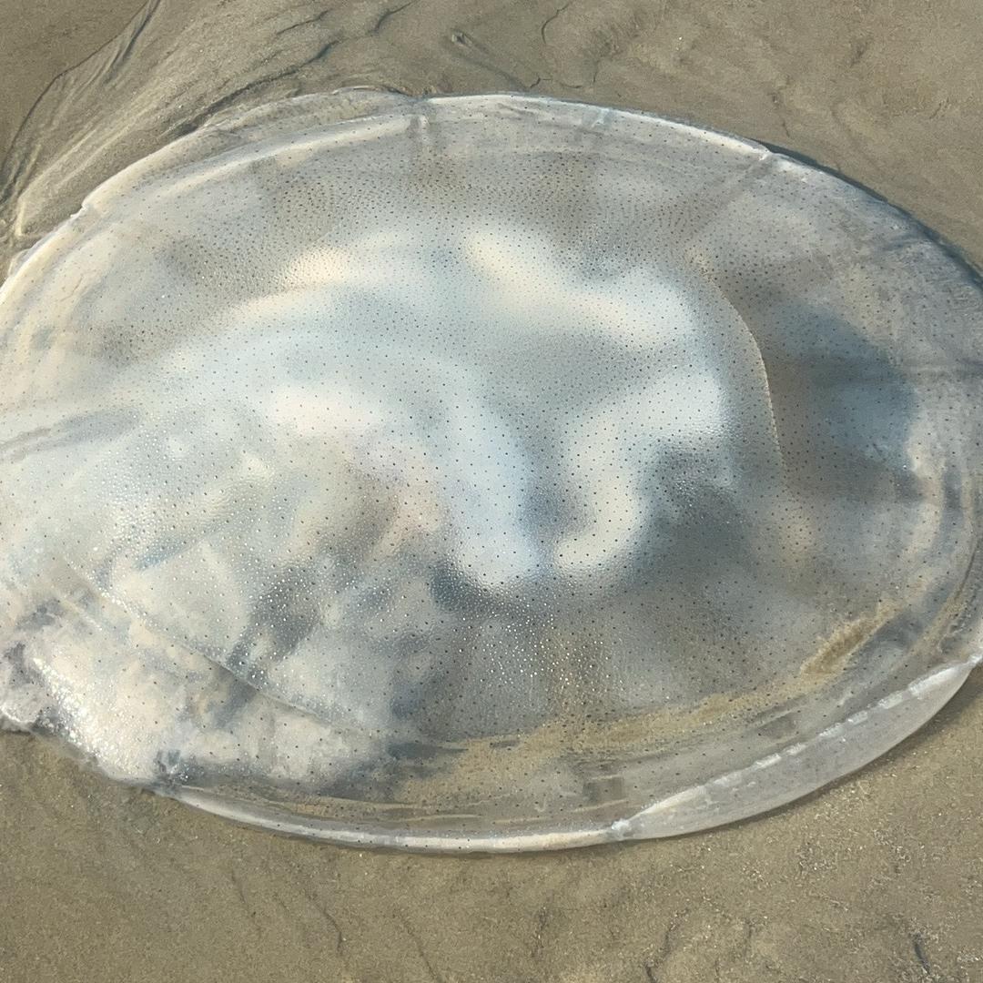 泰沃臻选阁