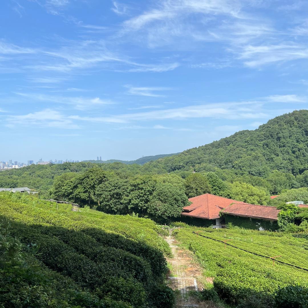 Ís岛