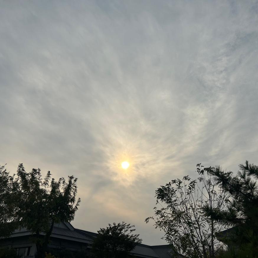 土豆就是豆