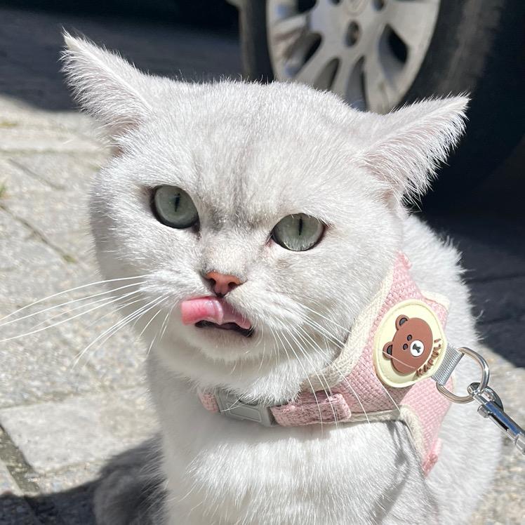 妹妹去哪了~~~