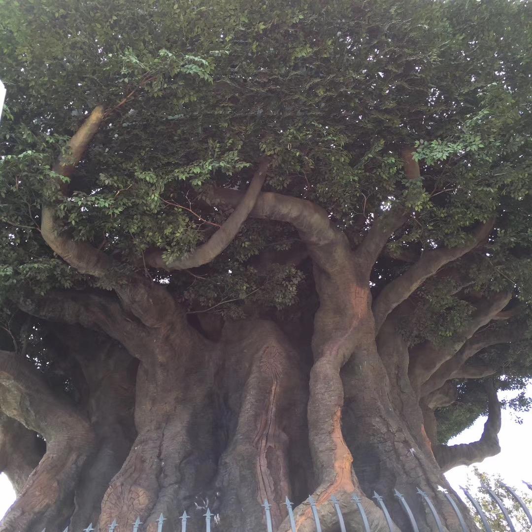 全家达购物超市（黄花店）