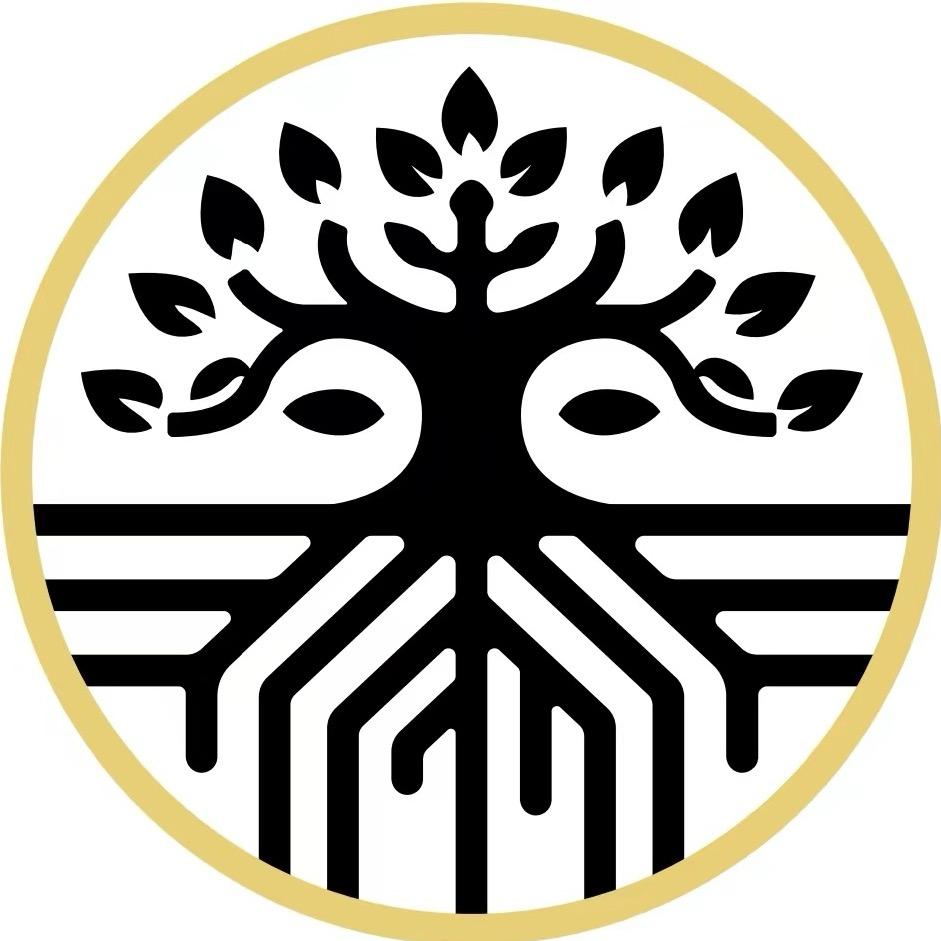 非洲飞