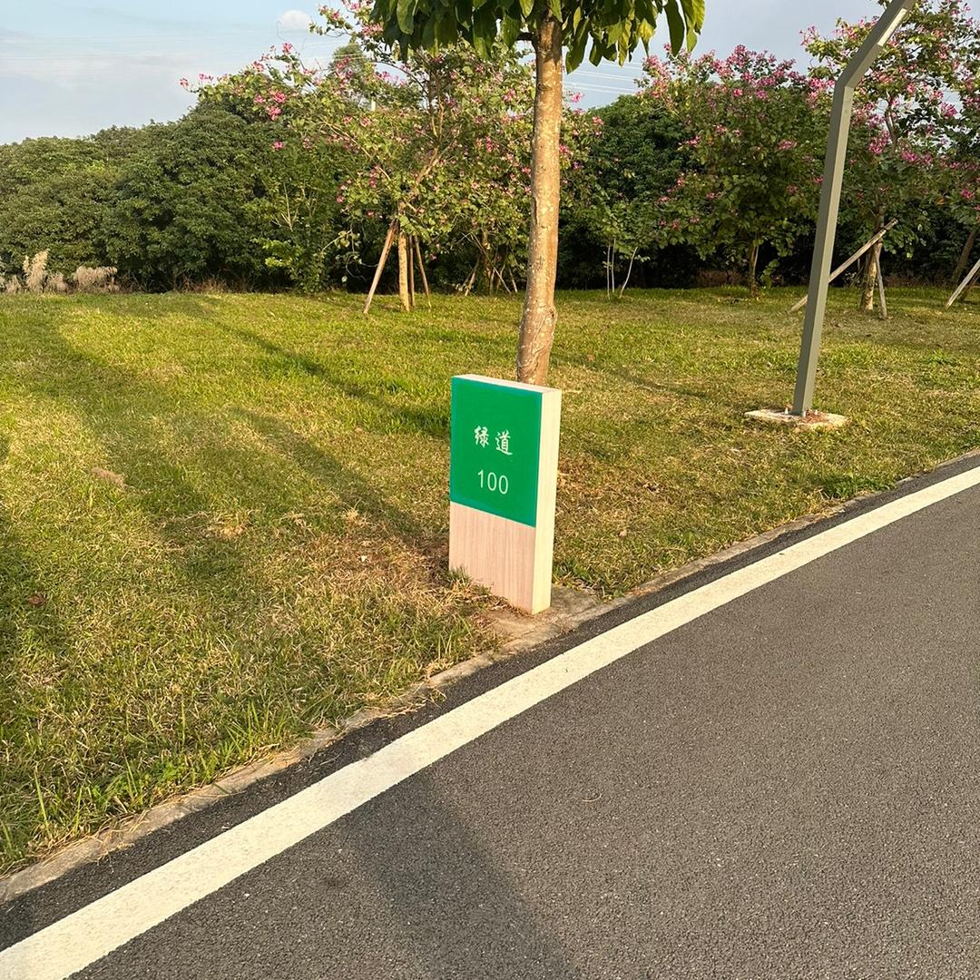剧情影片