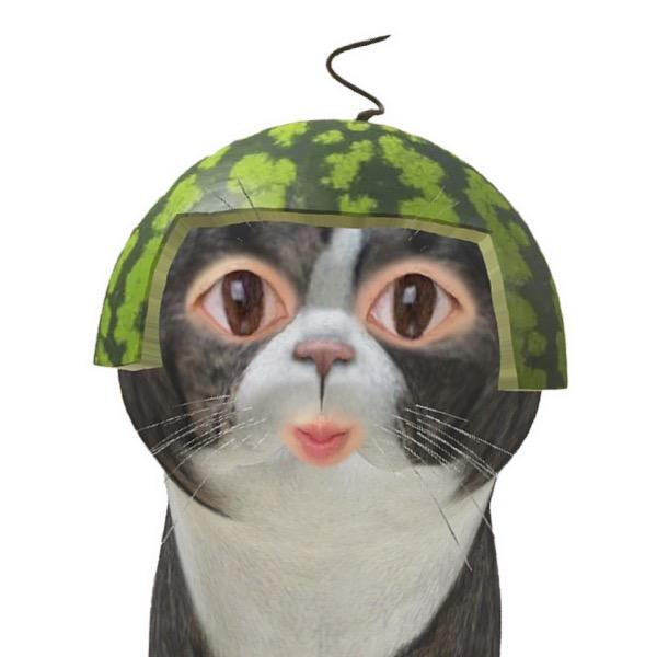 废话不多说