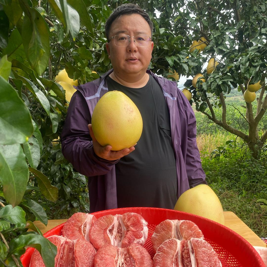 王主任助农