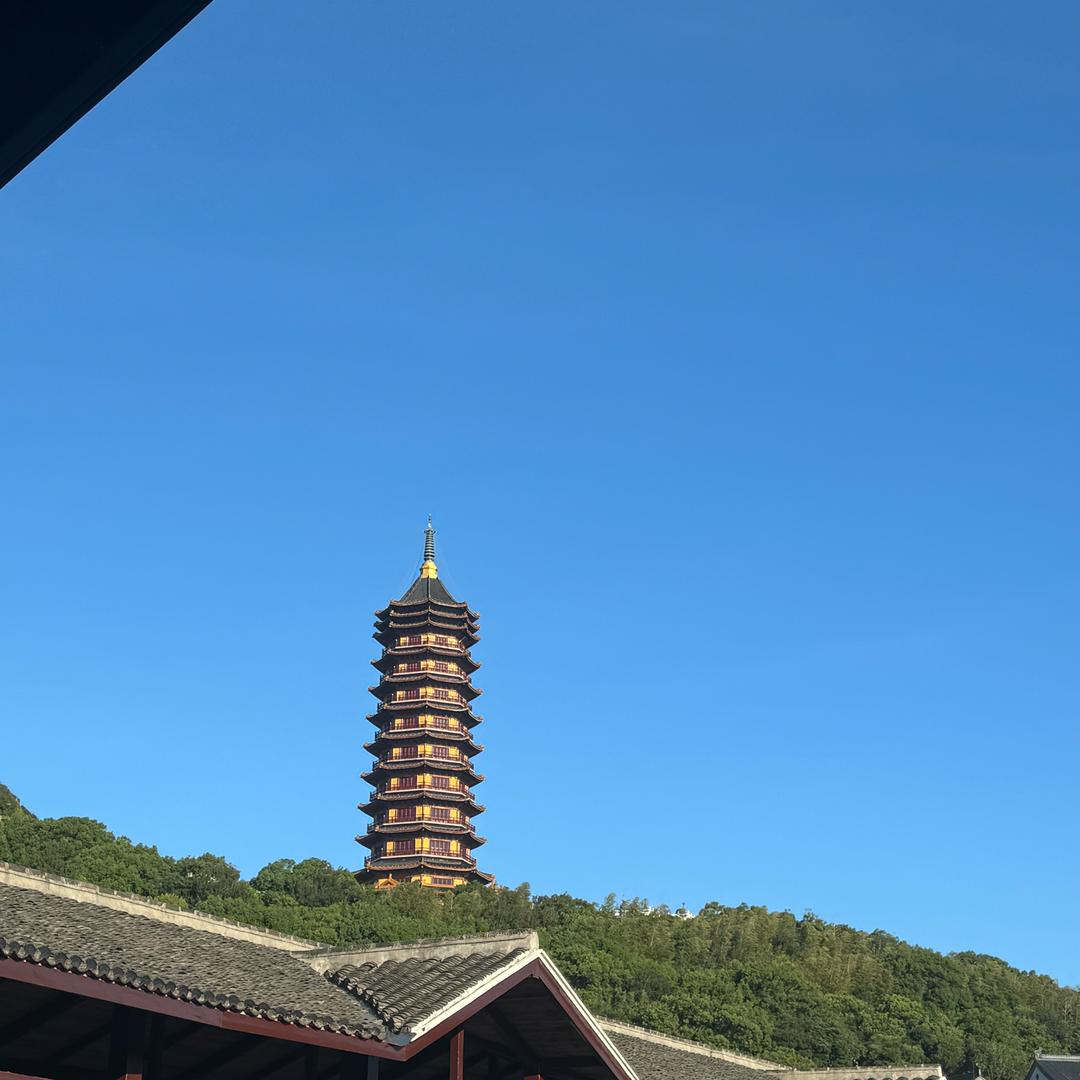 森里好分享