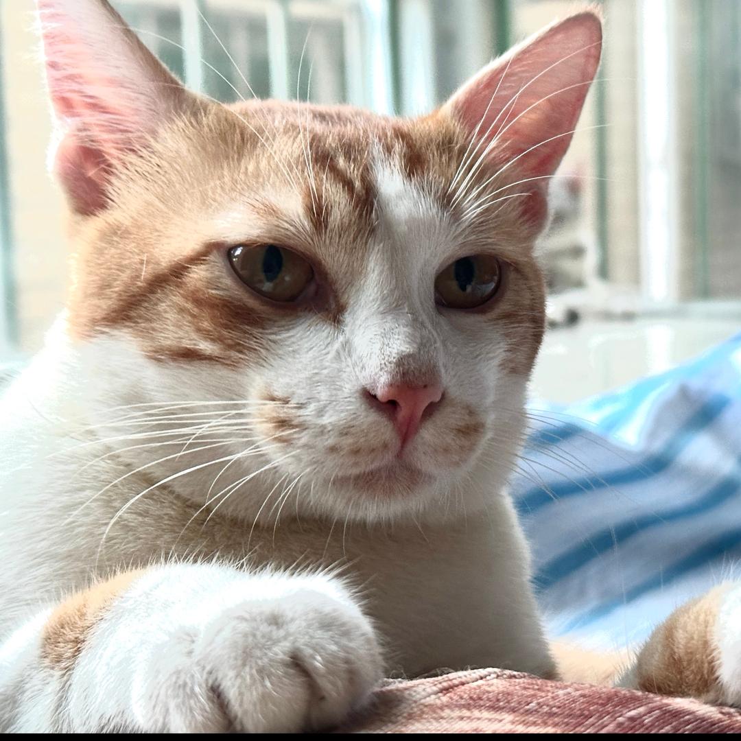 熙熙和毛哩vintage