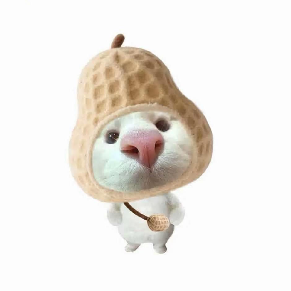 T.