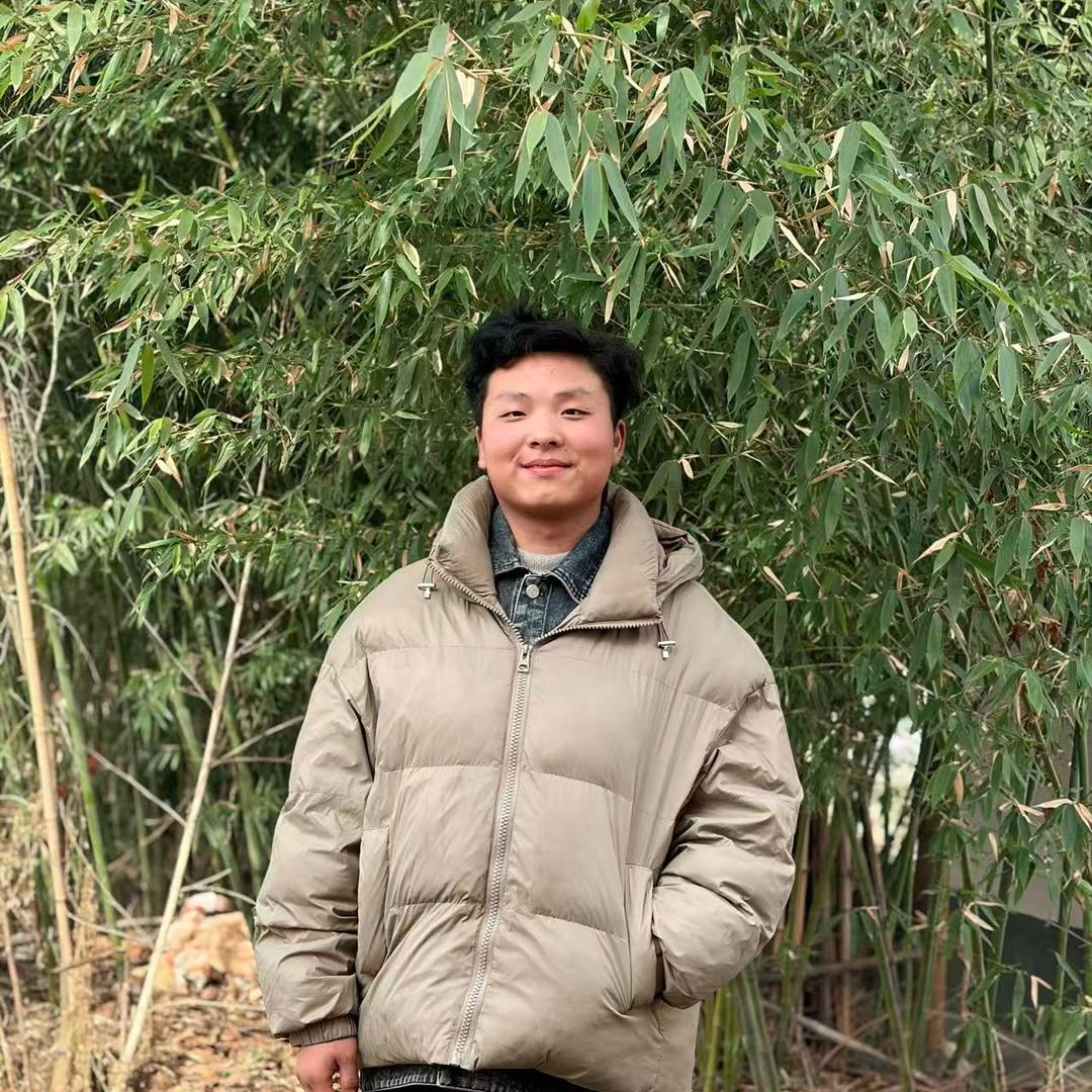 王正头像